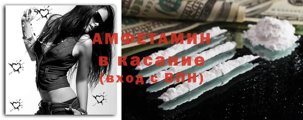 сатива Зеленокумск