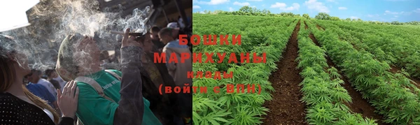 трава Зеленодольск