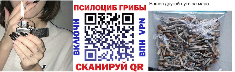 Галлюциногенные грибы мухоморы  Камызяк 
